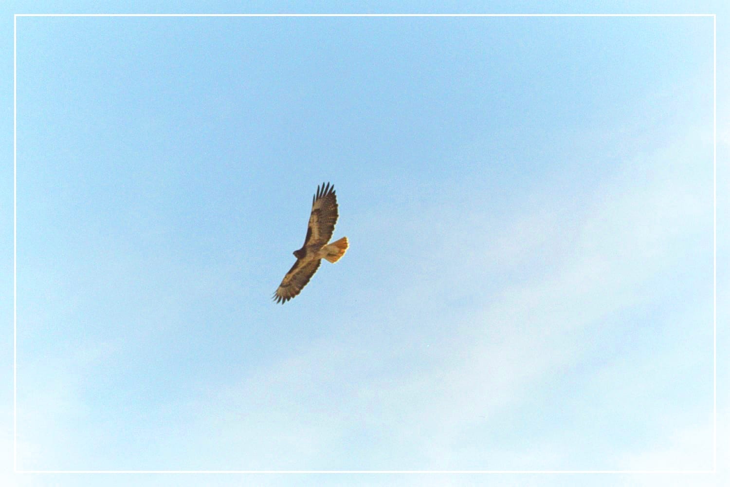 Look up!