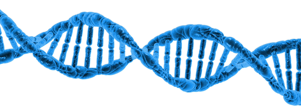 The 23andMe bankruptcy