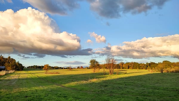 The usual, unusual, and a special thing